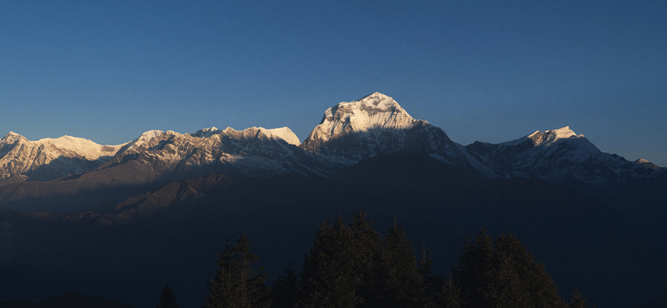 Trekking Trips